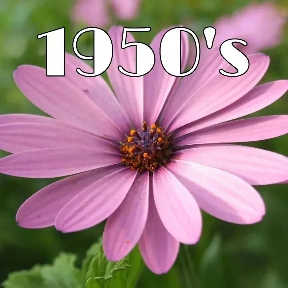 We have 1950's